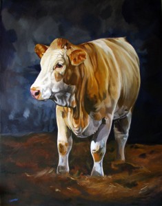 Simmental heifer oil painting